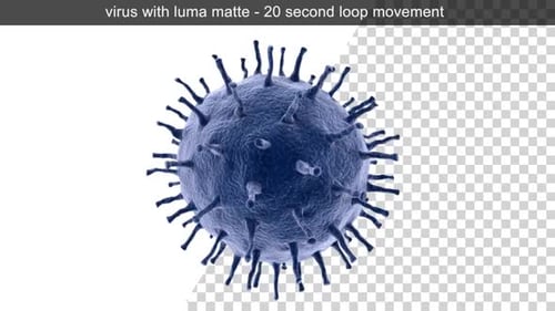 Virus