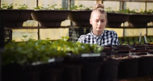 Young Woman Gardening in Greenhouse with Potted Plants