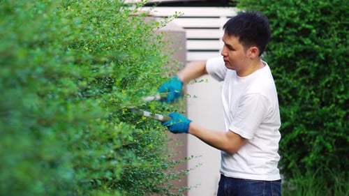 young man using big scissors cutting and trimming plant in garden at home