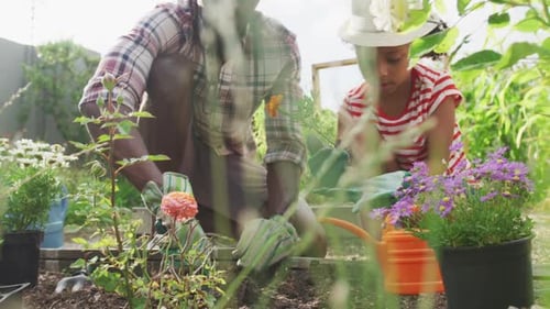 Man and Child Plant Flowers Together in Garden