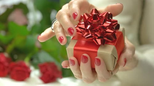 Woman's hands holds a small gift