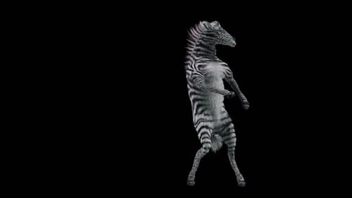 Animated Dancing Zebra Character on Black Background