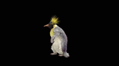 Pinguin tanzend HD