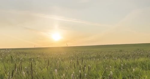 Hill Meadow Timelapse at the Summer or Autumn Time. Wild Endless Nature and Rural Field. Sun Rays