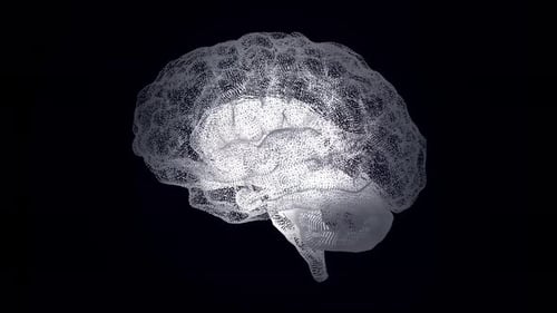 Futuristic Digital Brain with Neural Activity Animation