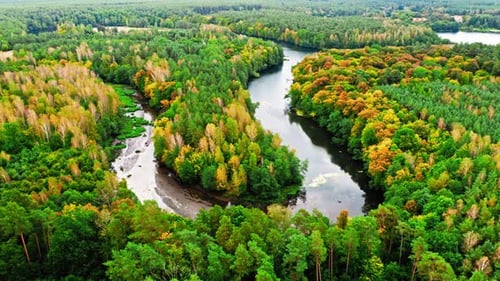 River and forest in autumn. Aerial view of wildlife, Poland.