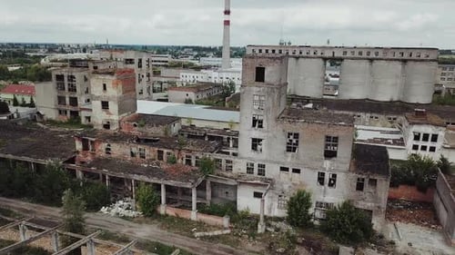Ruins of an old factory. Abandoned building was covered with grass and trees.