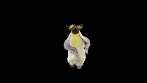 Penguin Dancing HD