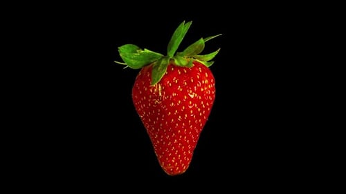 Rotating Strawberry with Alpha Channel on Black Background