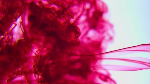 Vertical Footage Red Colorful Paint Spreading in Water