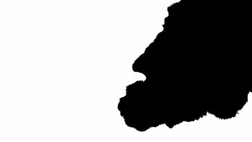 Ink Reveal Transition Element on White Background