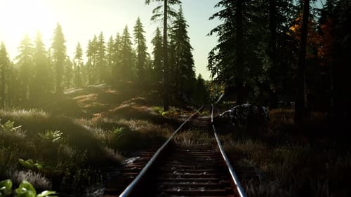 POV Journey Along Train Tracks Through a Green Forest