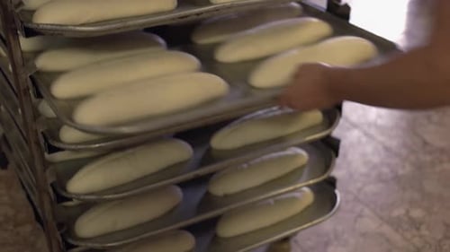 Uncooked Raw Bread Dough on a Rack