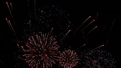 Brilliant Fireworks Exploding in the Night Sky