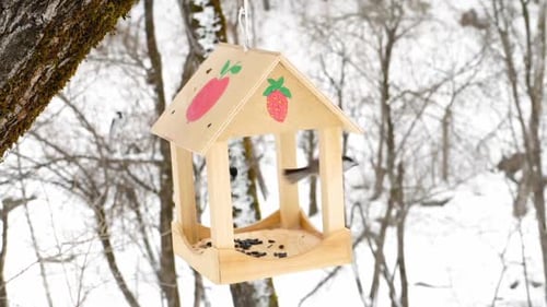 Bird Feeder in the Park