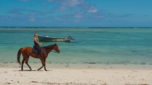 Woman Riding Horse on the Beach