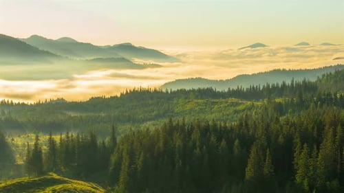 Majestic Mountains and Golden Fog Aerial View
