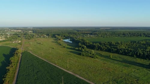 Aerial View Beautiful Landscape in Summer Drone Flying Corn Field in Sunny Day