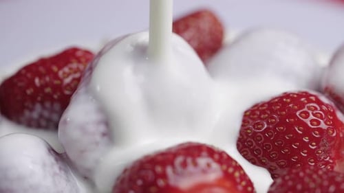 Verser de la crème ou du yogourt sur des fraises fraîches juteuses