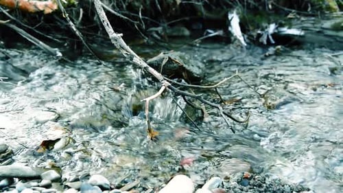 Dolly Slider Shot of the Splashing Water in a Mountain River Near Forest. Wet Rocks and Sun Rays