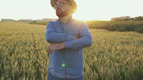 Bearded Man Posing in Wheat Field at Sunset