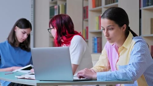 Group of Teenage Students Study in School Library