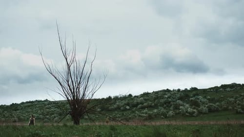 Woman Walks Past Leafless Tree in Overcast Landscape