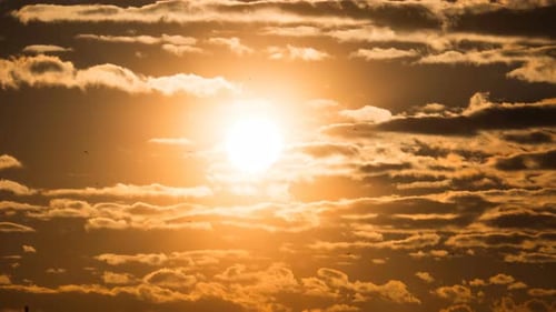 Coucher de soleil sur les nuages d'orage et sur les arbres et les tuyaux de la plante