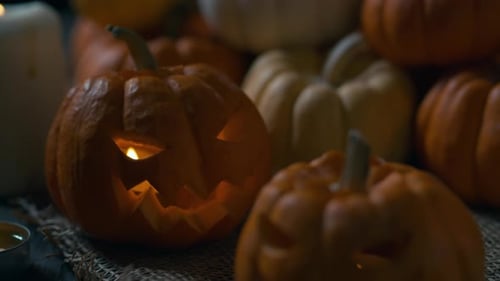 Halloween Kürbisse