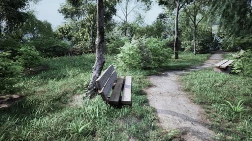 Seating Area on the Valley Walking Trail