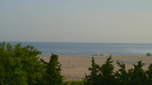 Rising Aerial Shot from Trees to a Sandy Beach in Long Island