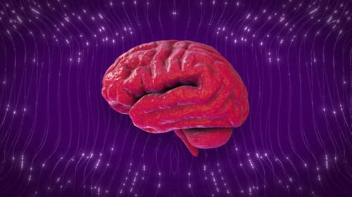 3D Human Brain Rotating with Abstract Neural Network