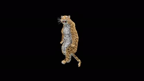 67 Leopard-Tanzen 4K
