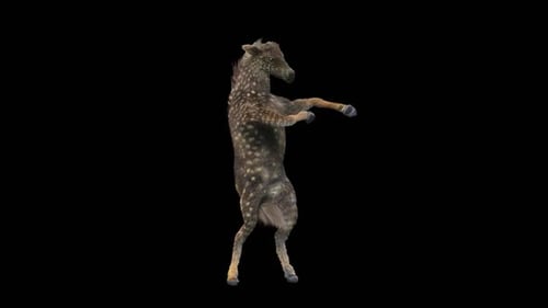 3D Animated Dancing Deer with Alpha Channel