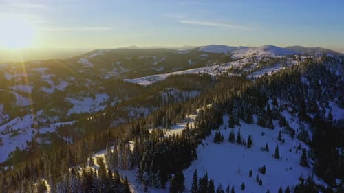 High Snowy Mountain Covered with Evergreen Fir Trees on a Sunny Cold Day