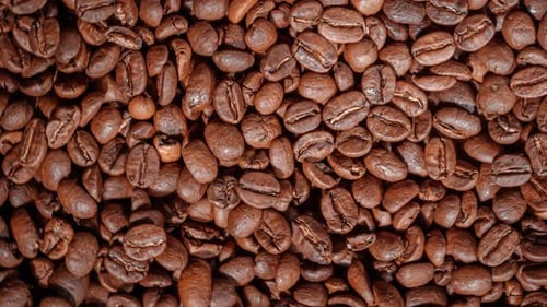 Close Up Seeds Coffee