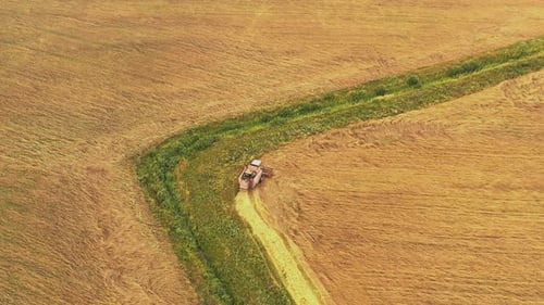Aerial View Of Rural Landscape. Combine Harvester Working In Field, Collects Seeds. Harvesting Of