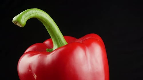 Close Up Red Bell Pepper Rotating