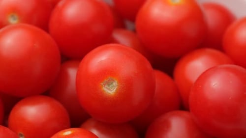 Close Up of Many Fresh Cherry Tomatoes