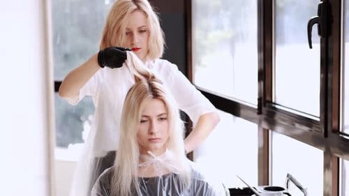 Hair Stylist Working on Client in Salon