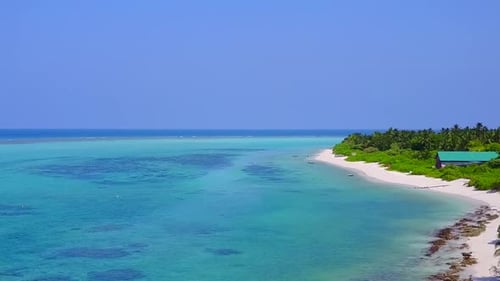 Drone sky of island beach wildlife by blue lagoon and sand background
