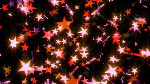 Les étoiles de Noël