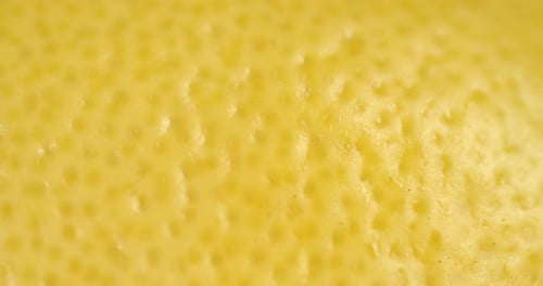 The Peel of Ripe Lemons Is Slowly Rotated.