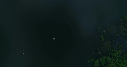 View of the marsh area, camera moving up.