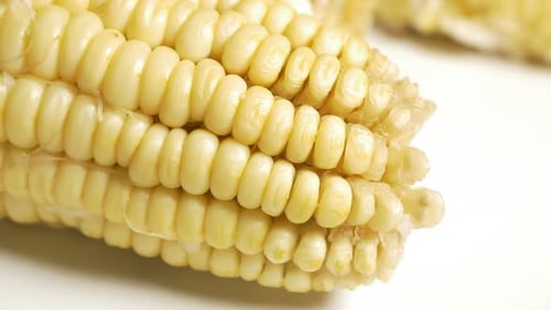 Corn fresh cooked 4K UHD footage pan - Fresh cooked corn UHD 3840X2160 video