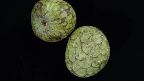 Two Green Cherimoya Fruits on Black Background