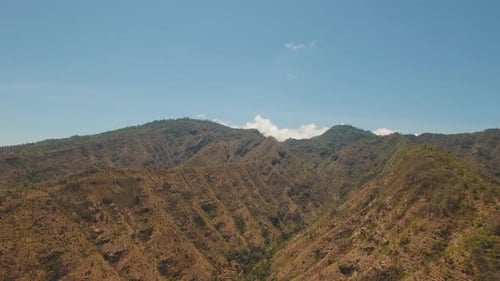 View of Mountain Forest Landscape