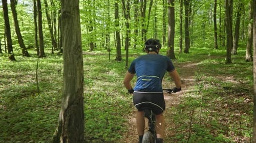 A Man on a Bicycle is Riding Along a Forest Path