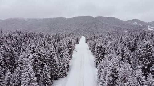 Winter Landscape Aerial view