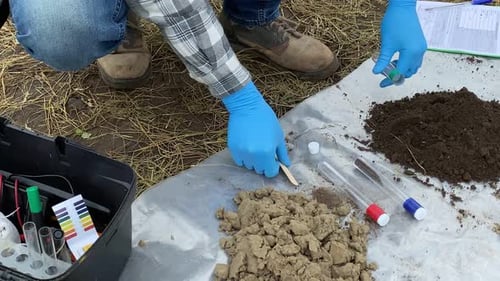 Scientist Collecting Soil Sample for Testing
